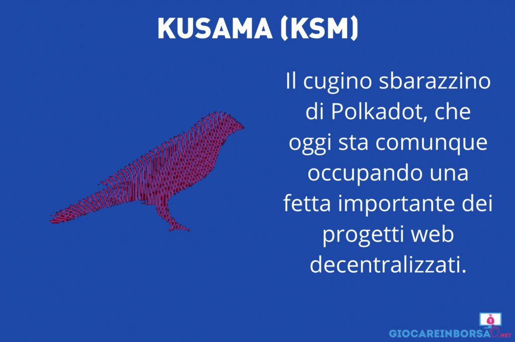 Kusama - infografica